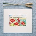 Sue Rapley Artist The Watercolour Collection