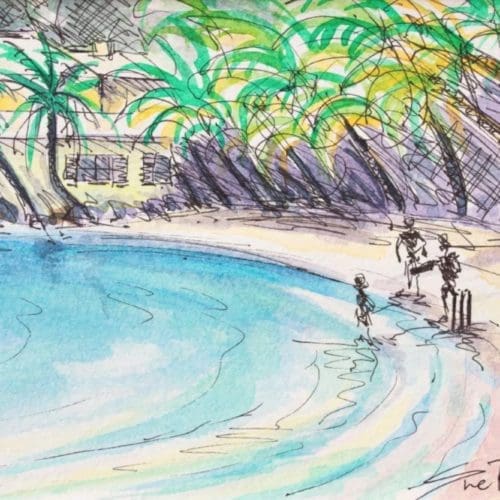 Beach Cricket