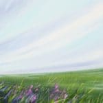 Sue Rapley Artist Available Landscapes Collection Wild and Free