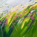 Sue Rapley Artist The Serenity Collection close up detail signature