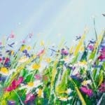 Sue Rapley Artist The Serenity Collection close up detail