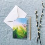 Sue Rapley Artist The Gift Collection