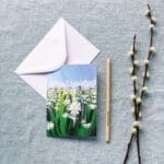Sue Rapley Artist The Gift Collection Greeting Cards