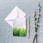 Sue Rapley Artist The Gift Collection Greeting Cards