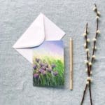 Sue Rapley Artist The Gift Collection Greeting Cards