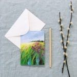 Sue Rapley Artist The Gift Collection