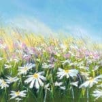 Sue Rapley Artist The Gift Collection Summer Breeze print