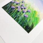 Sue Rapley Artist The Gift Collection Meadow Dance print