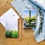 Sue Rapley Artist The Gift Collection Greeting cards